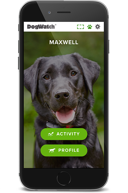 Hudson Valley DogWatch, Gardiner, New York | SmartFence WebApp Image