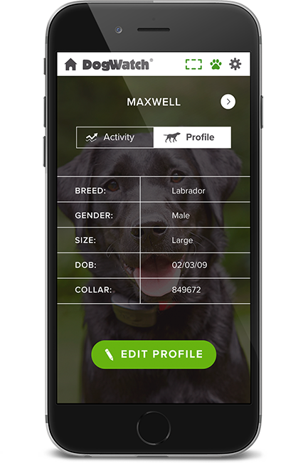 Hudson Valley DogWatch, Gardiner, New York | SmartFence WebApp Image