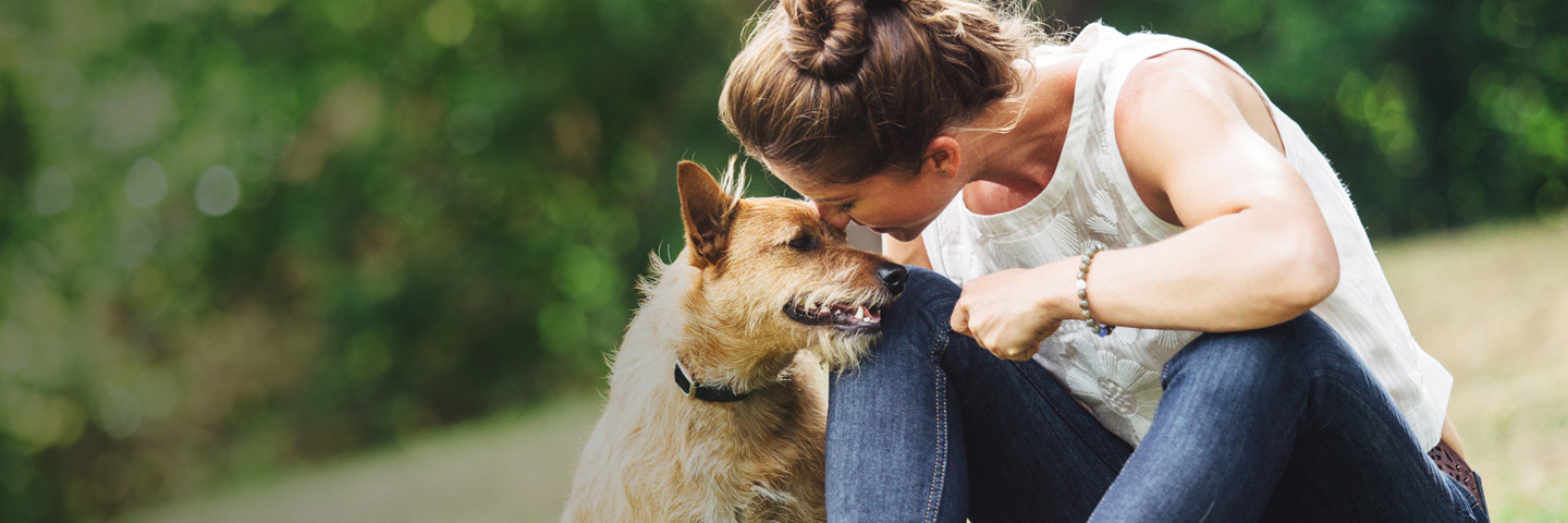 Hudson Valley DogWatch, Gardiner, New York | BarkCollar No-Bark Trainer Slider Image